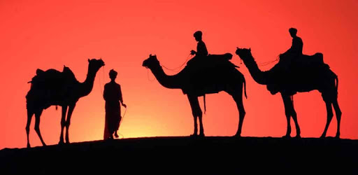 Camel Live Wallpaper PC screenshot Camel Live Wallpaper PC screenshot
