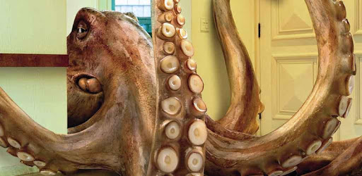 octopus live wallpapers free PC screenshot octopus live wallpapers free PC screenshot