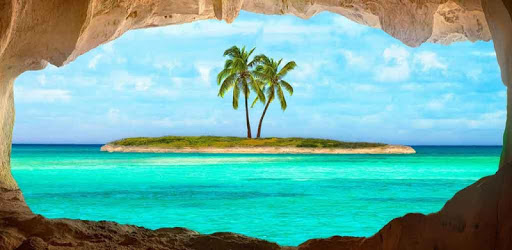 live wallpaper palm tree PC screenshot live wallpaper palm tree PC screenshot