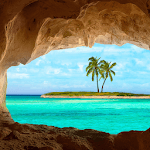live wallpaper palm tree for PC live wallpaper palm tree for PC