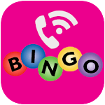 BingoVoice icon