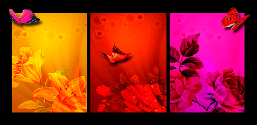 Butterflies Images Wallpapers PC screenshot Butterflies Images Wallpapers PC screenshot