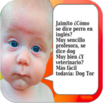 Jokes Quotes for Chat for PC Jokes Quotes for Chat for PC