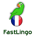 Learn French from scratch icon