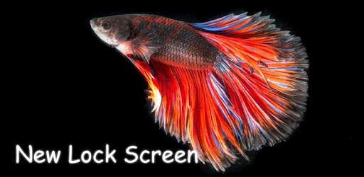 Fish Lock Screen for PC - Free Download & Install on Windows PC, Mac