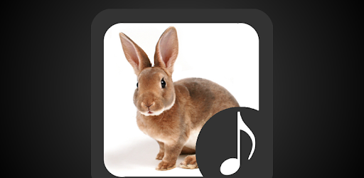 Rabbit Sounds PC screenshot Rabbit Sounds PC screenshot