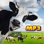 Funny Cow Sounds Audio for PC