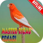 Master Karii Kenari MP3 for PC