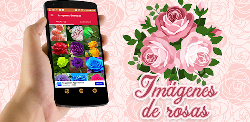 Pictures of Roses PC screenshot Pictures of Roses PC screenshot