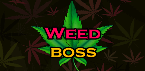 Weed Boss - Run A Ganja Farm & Be Firm Tycoon Inc PC screenshot Weed Boss - Run A Ganja Farm & Be Firm Tycoon Inc PC screenshot