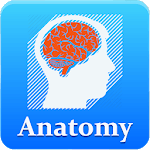Anatomy Mnemonics  Offline (Free) icon
