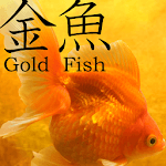 Gold Fish 3D free LWP for PC Gold Fish 3D free LWP for PC