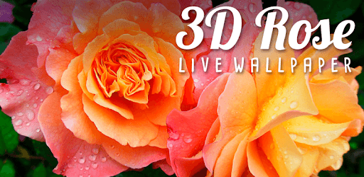 3D Rose Live Wallpaper PC screenshot