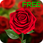 3D Rose Live Wallpaper for PC
