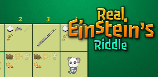Einstein's Riddle Logic Puzzles PC screenshot