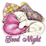 Good Night SMS Messages Msgs for PC Good Night SMS Messages Msgs for PC