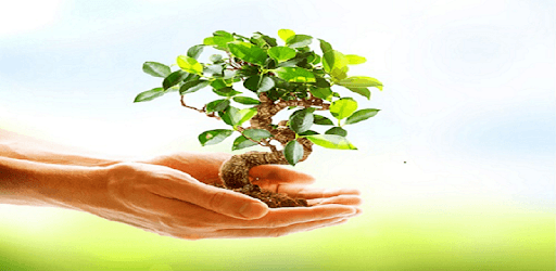 Home Gardening PC screenshot