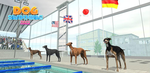 Swimming Pool Dog Racing – Wild Animal Simulator PC screenshot