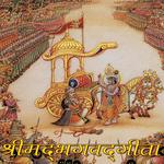 Shrimad Bhagwat Gita In Hindi for PC