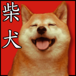 cute cute shiba dog wallpaper for PC