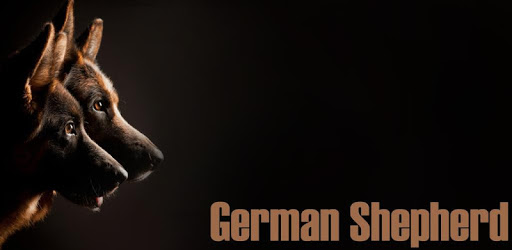 German Shepherd Wallpaper PC screenshot
