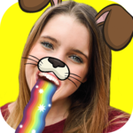 Face filters for snap for PC
