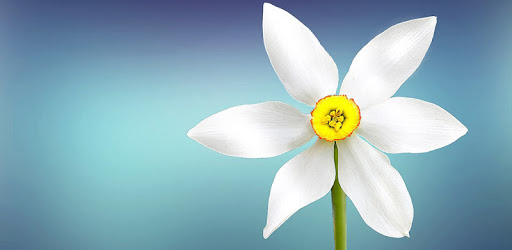 Wallpapers for Samsung S7™ PC screenshot Wallpapers for Samsung S7™ PC screenshot