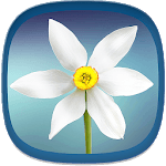 Wallpapers for Samsung S7™ for PC Wallpapers for Samsung S7™ for PC