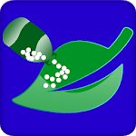 Biochemic (بایوکیمک) for PC