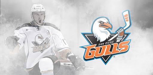 San Diego Gulls PC screenshot