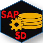 Learn SAP SD for PC