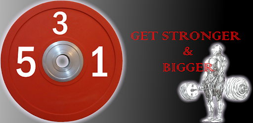 Wendler 5/3/1 log PC screenshot Wendler 5/3/1 log PC screenshot