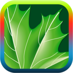 Nature ringtones for PC Nature ringtones for PC