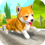 Pet Run Adventure for PC