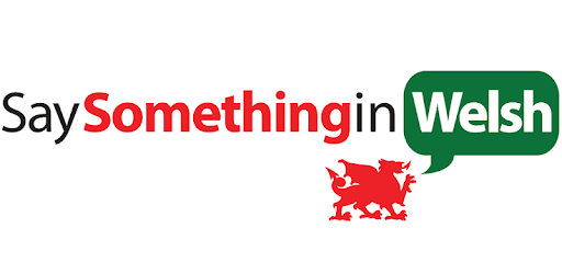 Say Something in Welsh PC screenshot