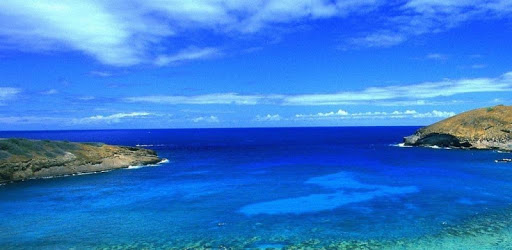 Sea and Tropics Wallpapers! PC screenshot