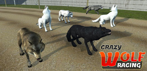 Wild Wolf Racing Game PC screenshot