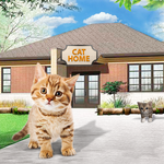 Cat Home : Kitten Daycare & Kitty Care Hotel for PC