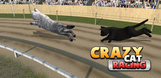 Crazy Cat Racing PC screenshot