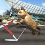Crazy Cat Racing for PC