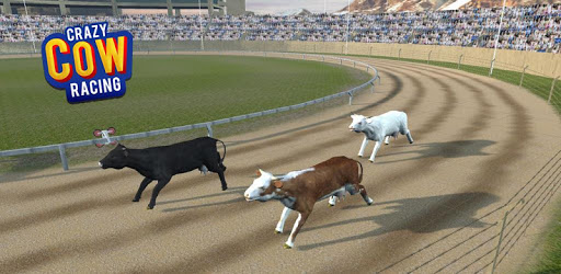 Crazy Cow Racing PC screenshot Crazy Cow Racing PC screenshot