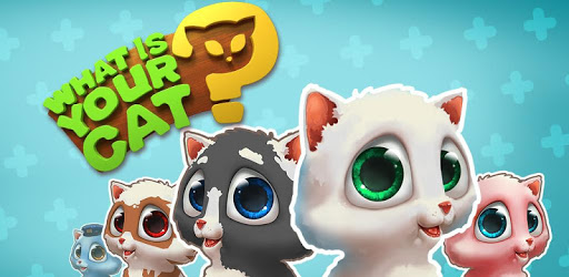 What cat are you? Game & Photo Scanner PC screenshot