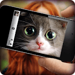 What cat are you? Game & Photo Scanner for PC