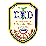 la Mère de Dieu icon