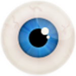 Focus Game for PC Focus Game for PC