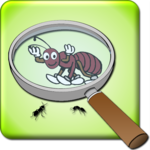 Best Magnifying Glass for PC Best Magnifying Glass for PC