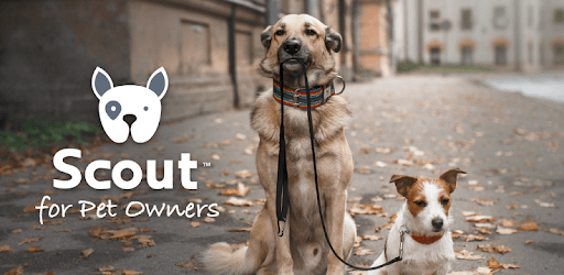 Scout for Pet Owners PC screenshot