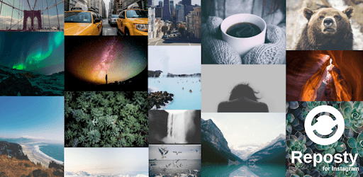 Reposty for Instagram PC screenshot