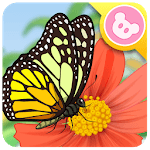 Butterfly - Insect World icon