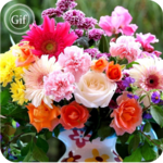 Flowers Gif Collection for PC Flowers Gif Collection for PC